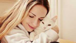 Калкулатор на котки за човешки марки